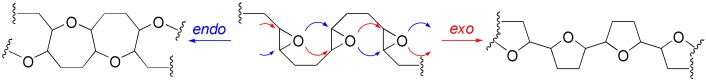 Epoxidöffnungskaskaden zur Synthese polycyclischer Polyether-Naturstoffe
