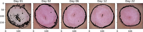 Details are in the caption following the image Details are in the caption following the image