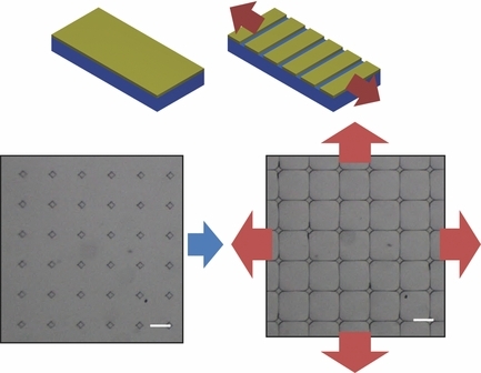 Fracture-Based Fabrication of Normally Closed, Adjustable, and Fully Reversible Microscale Fluidic Channels