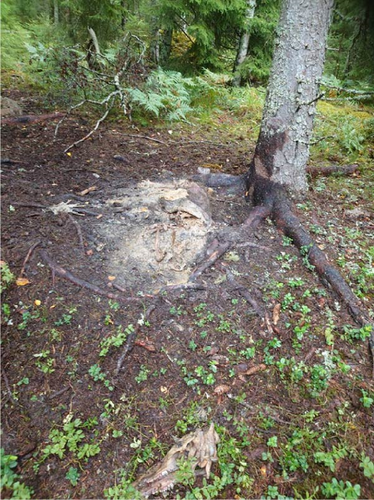Details are in the caption following the image