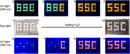 Details are in the caption following the image Details are in the caption following the image