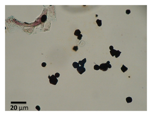 Details are in the caption following the image