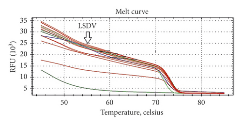 Details are in the caption following the image