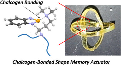 Supramolecular Chalcogen-Bonded Shape Memory Actuators