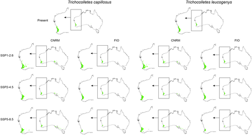 Details are in the caption following the image Details are in the caption following the image
