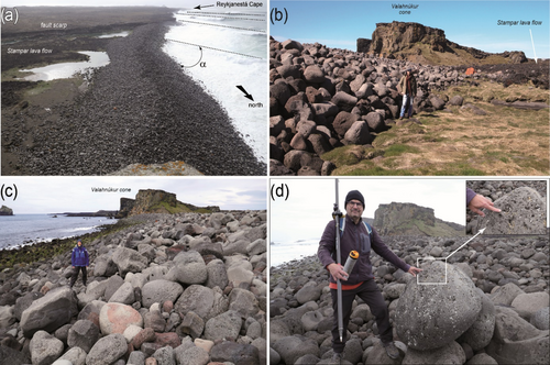 Details are in the caption following the image Details are in the caption following the image