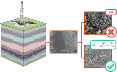 Correlation between clay type and performance of swelling inhibitors based on polyetherdiamine in aqueous fluids