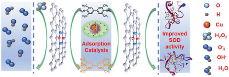 Virus-Like Magnetic Heterostructure: an Outstanding Metal-Complex Active Platform Enables High-Efficiency Separation and Catalysis