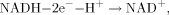 equation image