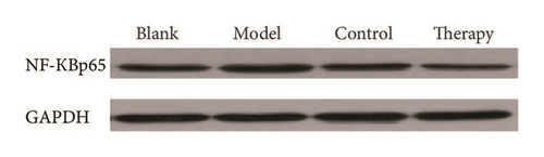 Details are in the caption following the image