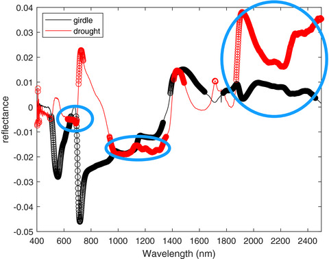 Predicting tropical tree mortality with leaf spectroscopy