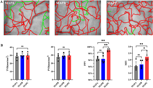 Details are in the caption following the image Details are in the caption following the image