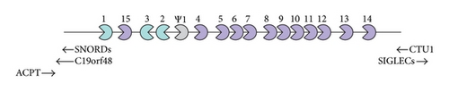 Details are in the caption following the image
