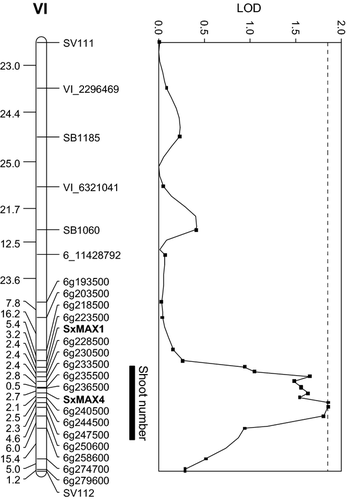 Details are in the caption following the image Details are in the caption following the image