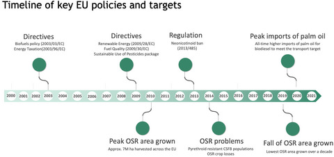 How contradictory EU policies led to the development of a pest: The story of oilseed rape and the cabbage stem flea beetle