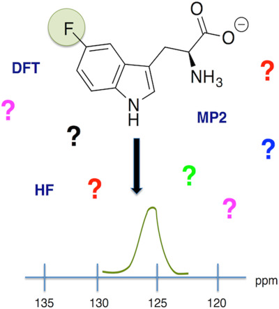 Evaluating electronic structure methods for accurate calculation of 19F chemical shifts in fluorinated amino acids