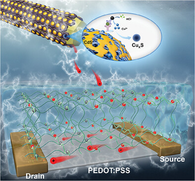 Reticular Heterojunction for Organic Photoelectrochemical Transistor Detection of Neuron-Specific Enolase