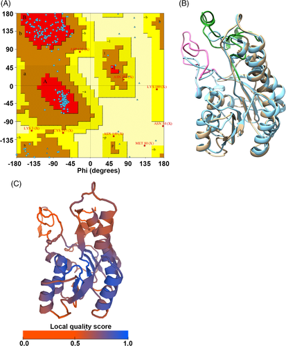 Details are in the caption following the image Details are in the caption following the image