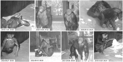 Details are in the caption following the image Details are in the caption following the image