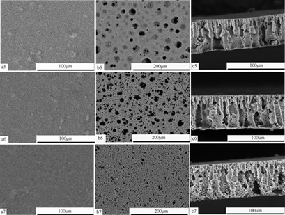 Structure and Performance of Poly(vinylidene chloride-co-vinyl chloride) Porous Membranes with Different Additives