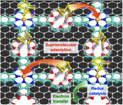 Supramolecularly Confined Catalysis in Polyphthalocyanine-Crown-Ether Frameworks Boosts Sulfur Redox Kinetics