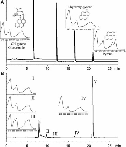 Details are in the caption following the image