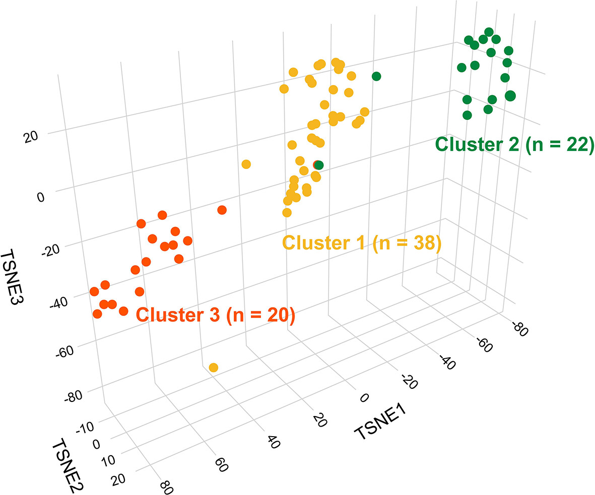 NAB2::STAT6 fusions and genome-wide DNA methylation profiling: Predictors of patient outcomes in meningeal solitary fibrous tumors