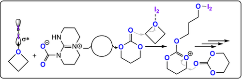 Details are in the caption following the image