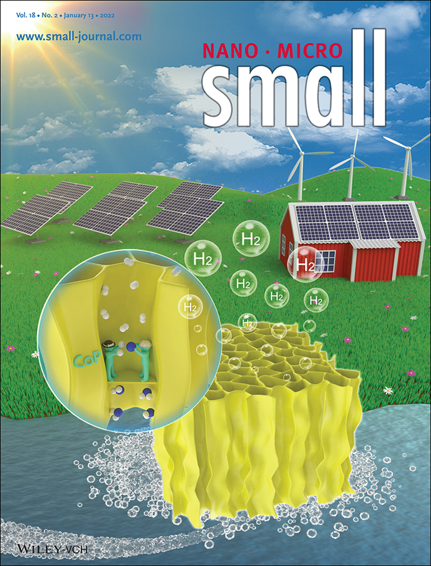 Directionally In Situ Self-Assembled, High-Density, Macropore-Oriented, CoP-Impregnated, 3D Hierarchical Porous Carbon Sheet Nanostructure for Superior Electrocatalysis in the Hydrogen Evolution Reaction (Small 2/2022) Volume 18 Issue 2, 2022