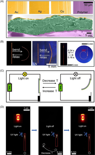 Details are in the caption following the image Details are in the caption following the image
