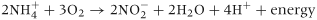 urn:x-wiley:00034746:media:aab12014:aab12014-math-0004