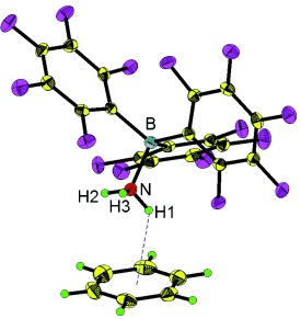 Structural Characterization, Infrared Spectroscopy, and Theoretical Calculations for B(C6F5)3-Stabilized Benzene–Ammonia and Benzene–Water Complexes
