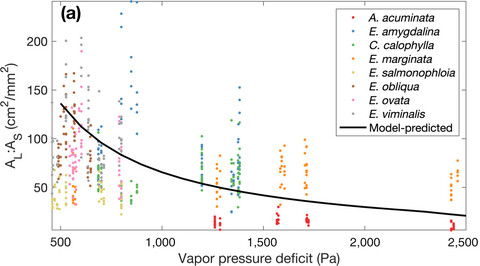 Climate and plant trait strategies determine tree carbon allocation to leaves and mediate future forest productivity