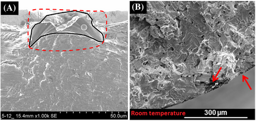 Details are in the caption following the image Details are in the caption following the image
