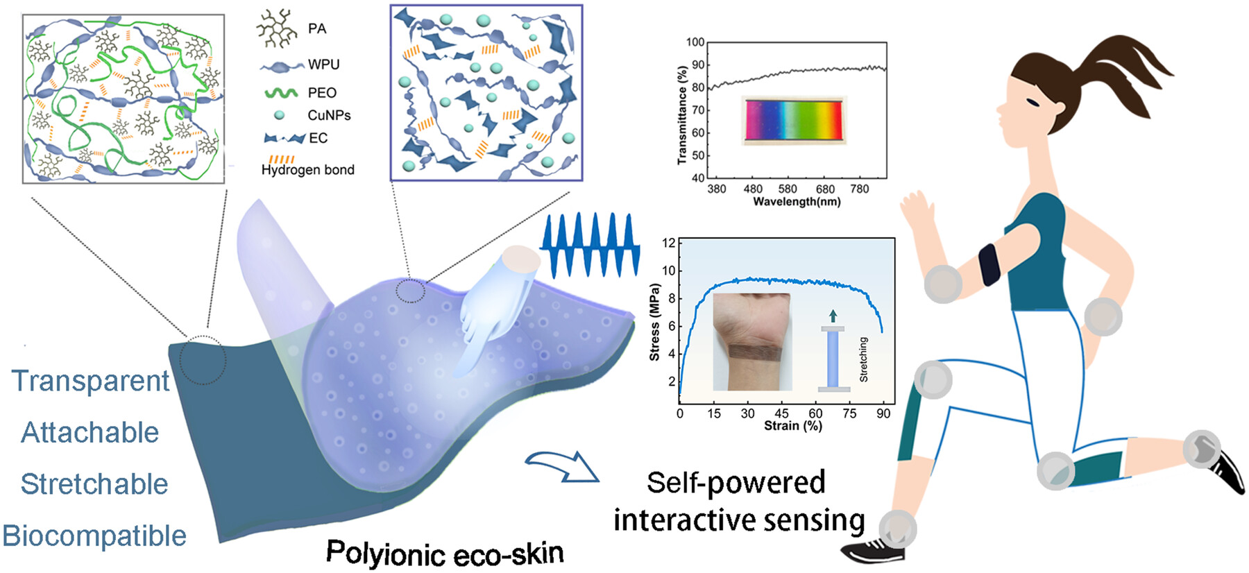 A Stretchable, Attachable, and Transparent Polyionic Ecological Skin for Robust Self-Powered Interactive Sensing