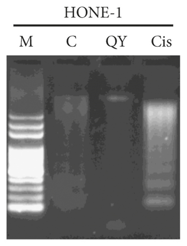Details are in the caption following the image