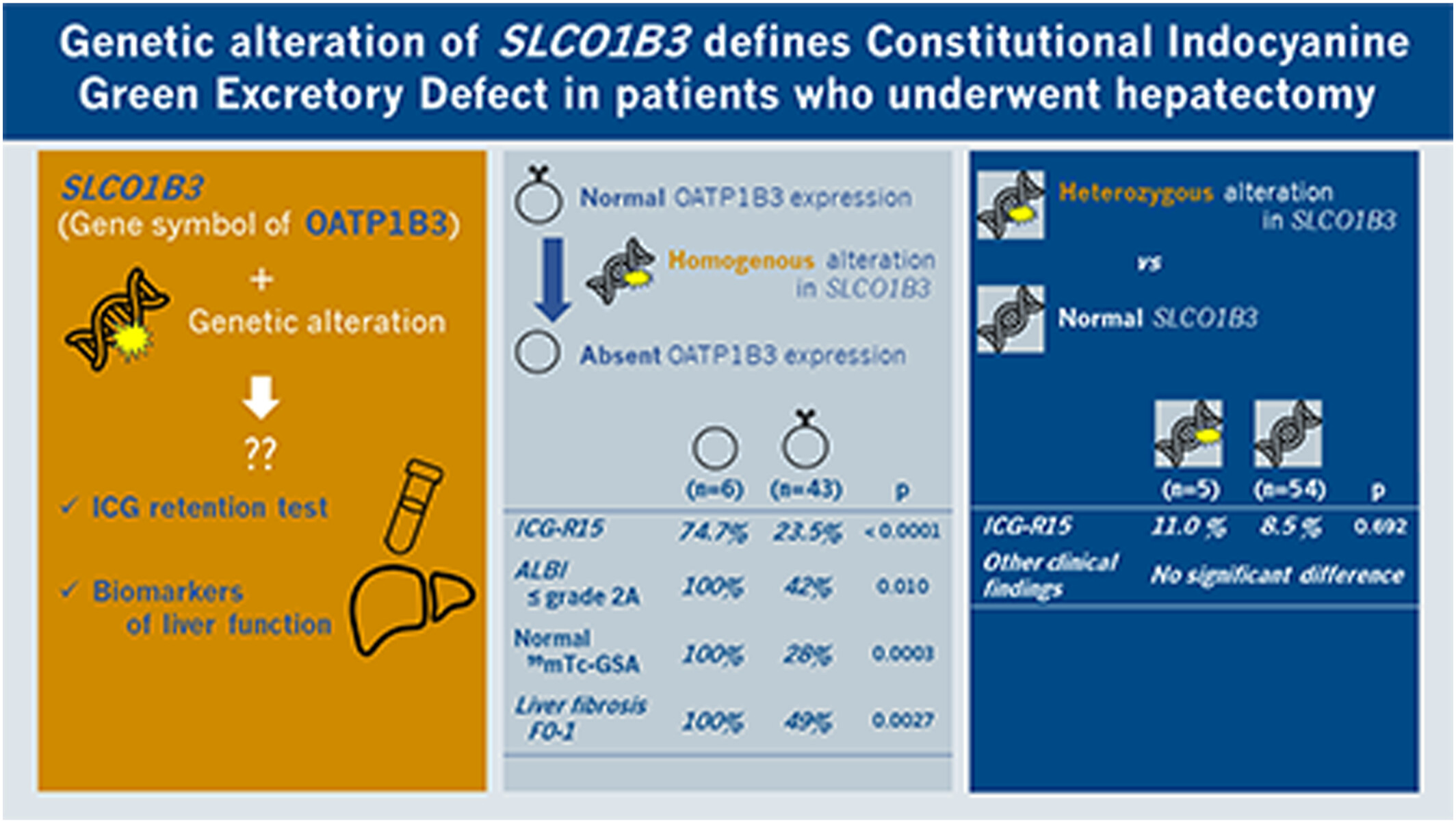 Genetic alteration of SLCO1B3 defines constitutional indocyanine green excretory defect in patients who underwent hepatectomy