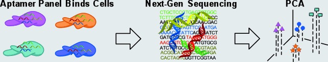 Next-Generation Sequencing as Input for Chemometrics in Differential Sensing Routines