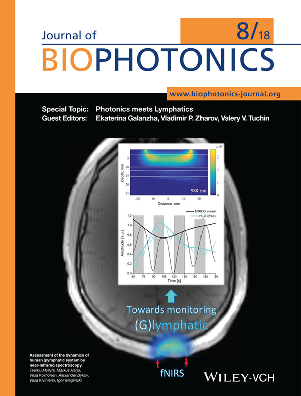Back Cover: Assessment of the dynamics of human glymphatic system by near-infrared spectroscopy (J. Biophotonics 8/2018)