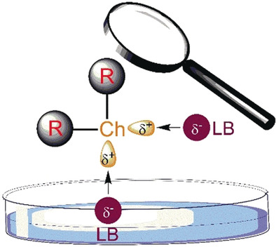 Chalcogen Bonding: An Overview