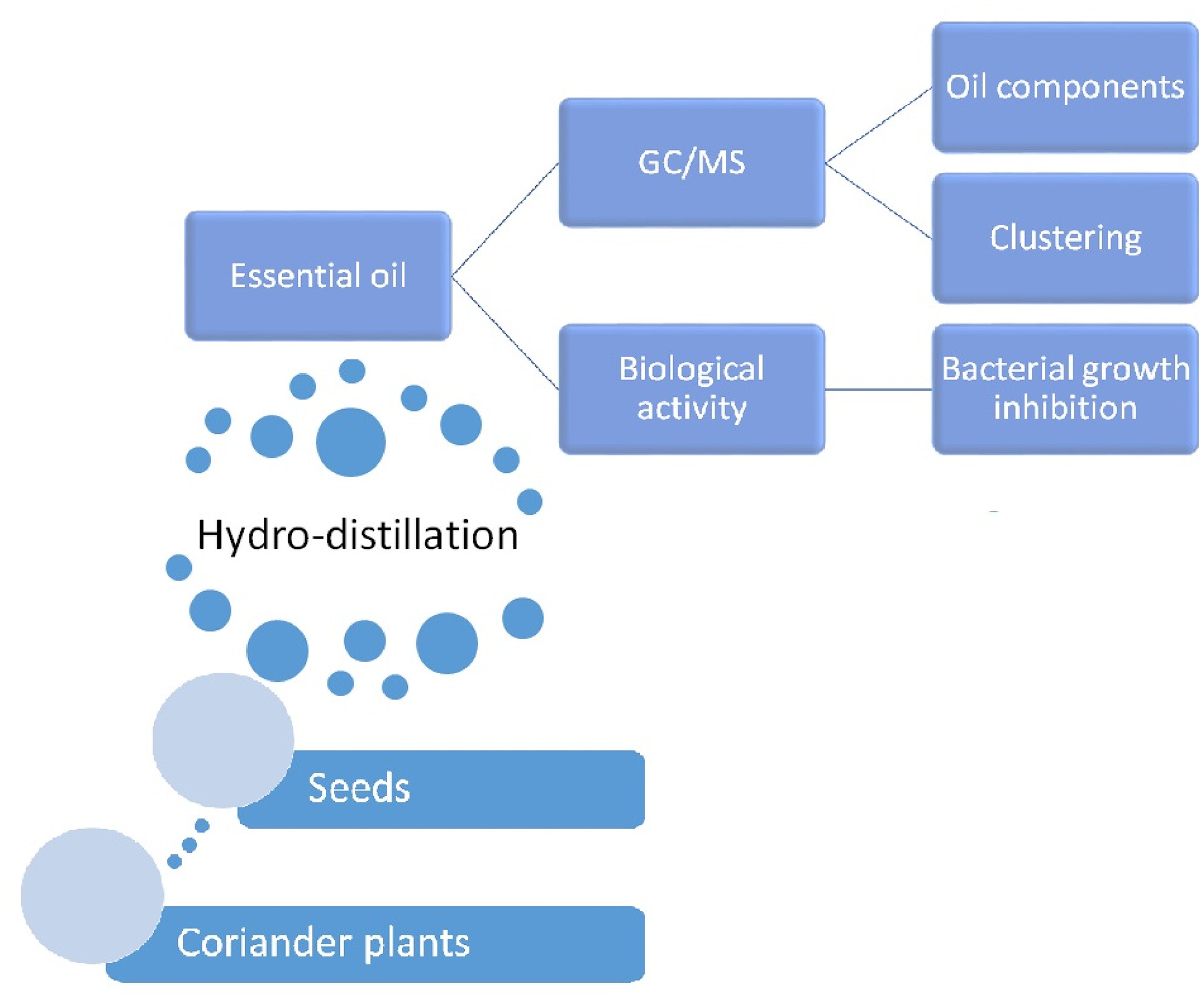 Chemical composition and antimicrobial activity of the essential oils in different populations of Coriandrum sativum L. (coriander) from Iran and Iraq