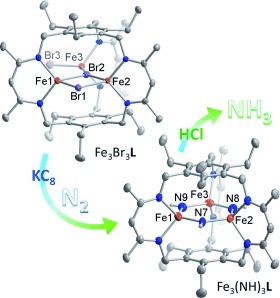 Dinitrogen Activation Upon Reduction of a Triiron(II) Complex