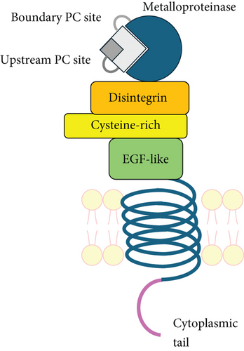 Details are in the caption following the image