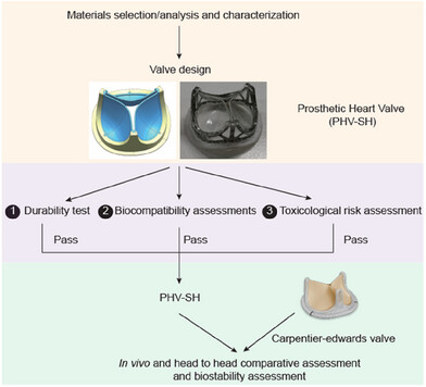 Design a Novel Polymeric Heart Valve PHV-SH and Test the Feasibility Using in Vivo Pre-Clinical Non-inferiority Trial