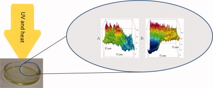 A detailed surface analytical study of degradation processes in (meth)acrylic polymers