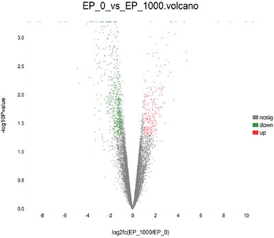 Transcriptome analysis reveals potential mechanisms of the effects of dietary Enteromorpha polysaccharides on bursa of Fabricius in broilers