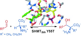 Engineered L-Serine Hydroxymethyltransferase from Streptococcus thermophilus for the Synthesis of α,α-Dialkyl-α-Amino Acids