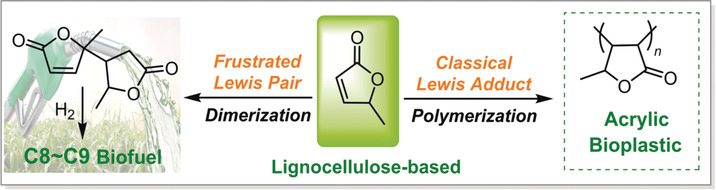 Lewis-Pair-Mediated Selective Dimerization and Polymerization of Lignocellulose-Based β-Angelica Lactone into Biofuel and Acrylic Bioplastic