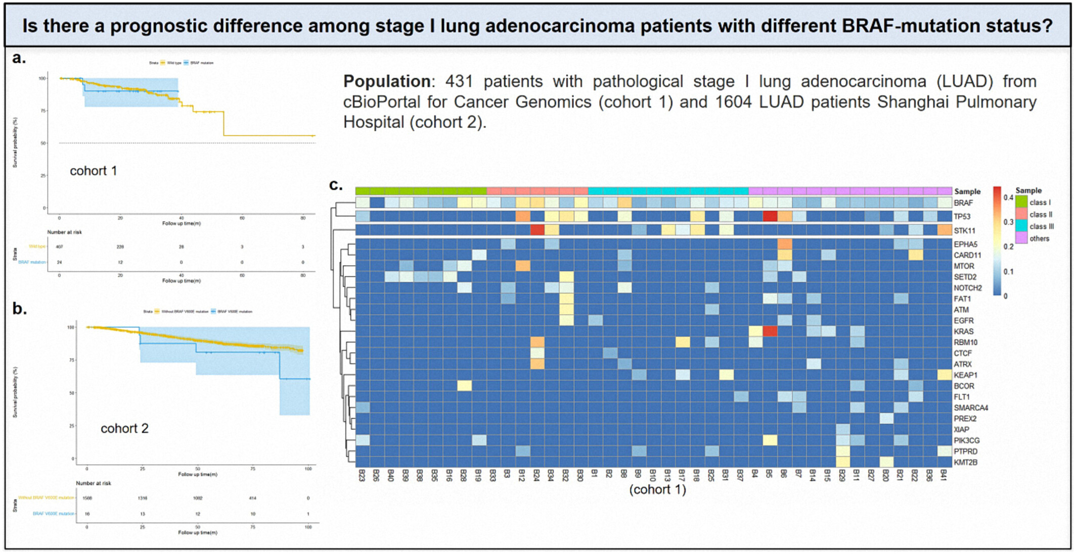 Is there a prognostic difference among stage I lung adenocarcinoma patients with different BRAF-mutation status?