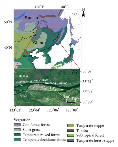 Details are in the caption following the image Details are in the caption following the image